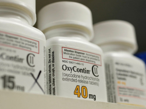 Purdue Pharma $7.4 billion opioid settlement wins broad support from US states