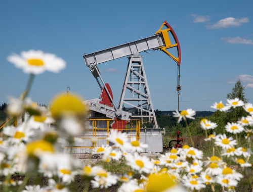 Oil prices stable ahead of Trump-Zelenskiy meeting
